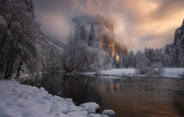 Картинка зима, лес, снег, деревья, река, гора, Калифорния, California
