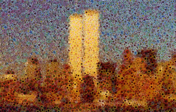 Картинка цветы, небоскребы, нью-йорк, всемирный торговый центр, world trade center, wtc, манхэттен