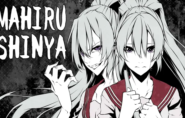 Взгляд, фон, девушки, аниме, серые волосы, Akuma no Riddle