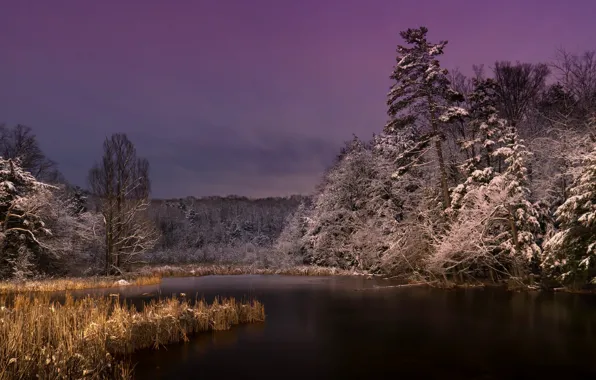 Картинка ночь, природа, озеро