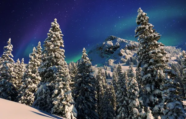 Картинка зима, небо, снег, деревья, пейзаж, горы, природа, звёзды