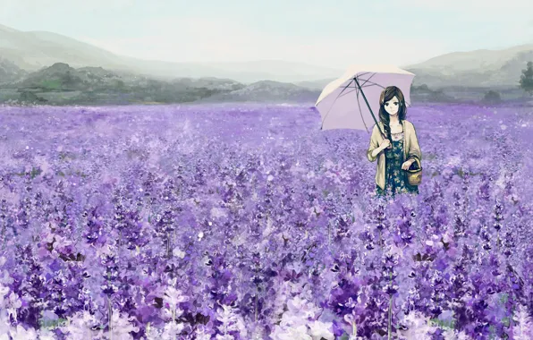 Картинка поле, девушка, цветы, зонтик, корзина, зонт, арт, лаванда
