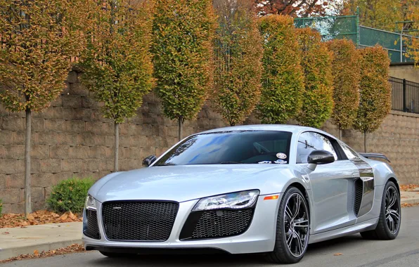 Картинка Audi, V10, R8