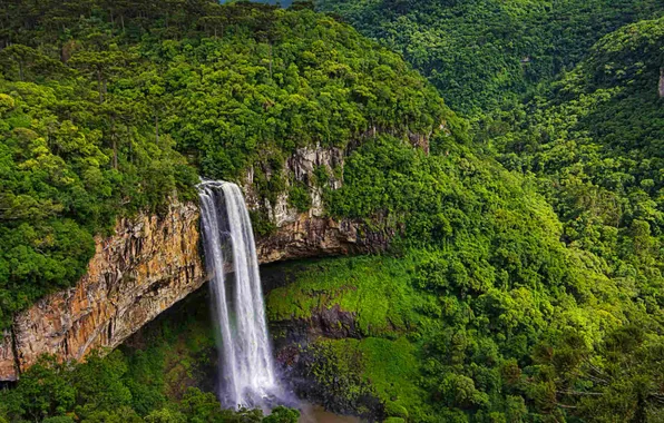 Картинка лес, скала, Бразилия, водопад Каракол, штат Рио-Гранде-ду-Сул