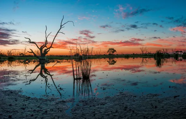 Australia, Campbell's Swamp, Lake Wyangan