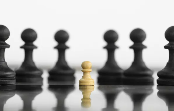 Wood, chess, pawn, greatness