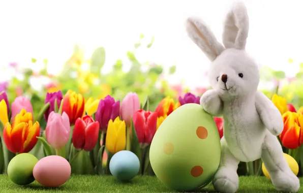 Цветы, яйца, весна, кролик, Пасха, тюльпаны, flowers, tulips