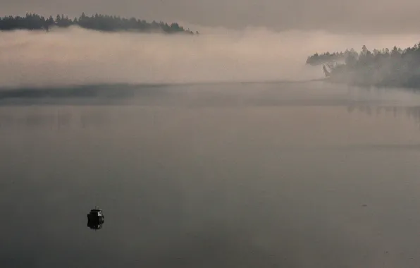Fog, boat, morning mist