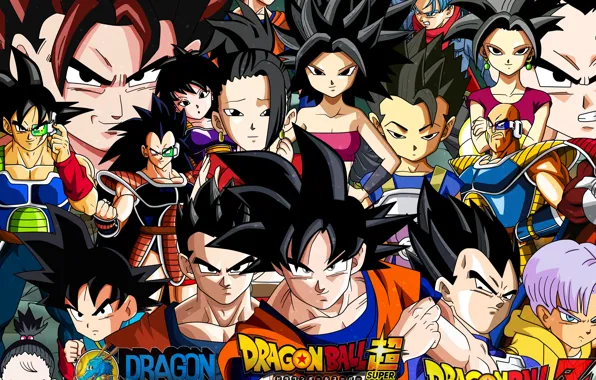 DBS, game, anime, fight, asian, martial artist, manga, oriental