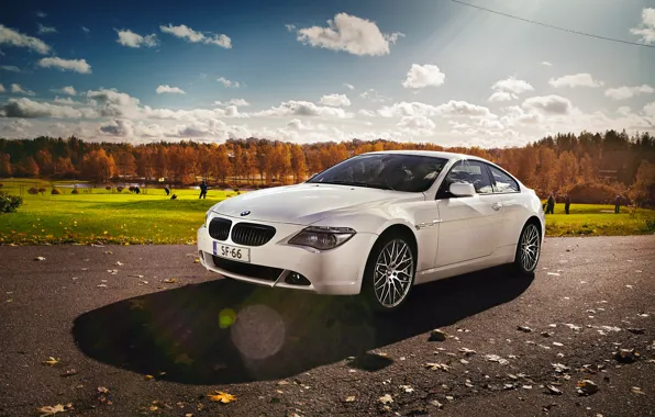 Картинка бмв, BMW, белая, e63