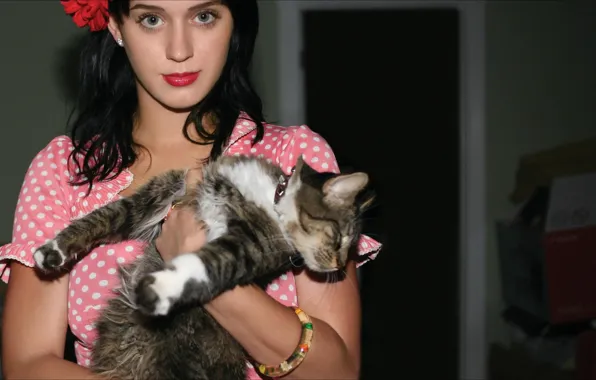 Katy Perry, Cats, other