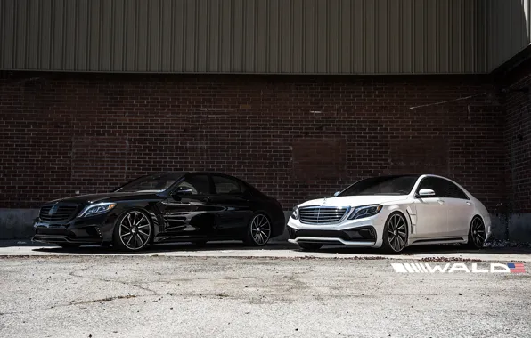 TUNING, WALD, MERCEDES, BENZ, BLACK BISON, W222, S-CLASS