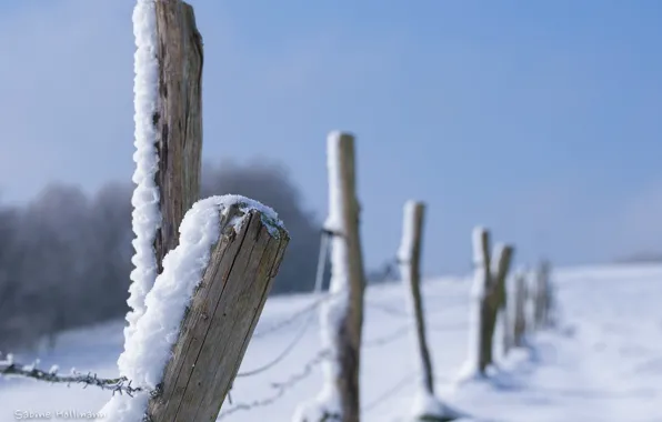 Зима, снег, крупный план, забор, ограда, колючая проволока