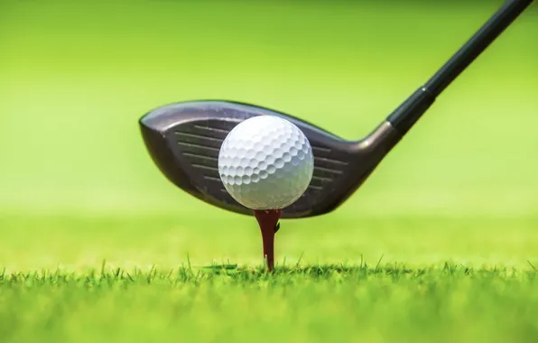Картинка green, Golf, ball