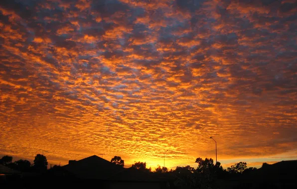 Sunset, Australia, Suburban, Homes, Perth