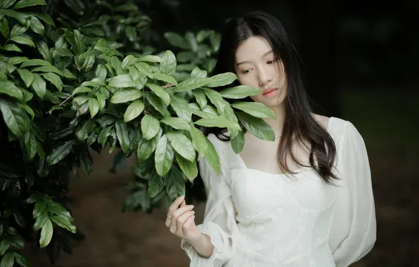 Beautiful, Asian, Model, Woman, Cute, Pretty, Outdoor, Close Up