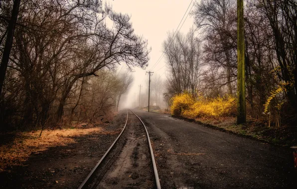 Дорога, природа, туман