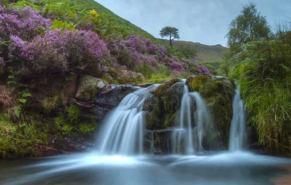 Картинка холмы, Англия, водопад, каскад, England, вереск, Peak District, Пик-Дистрикт