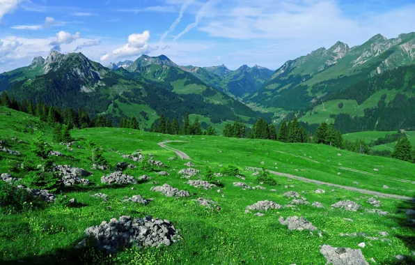 Горы, Камни, Луг