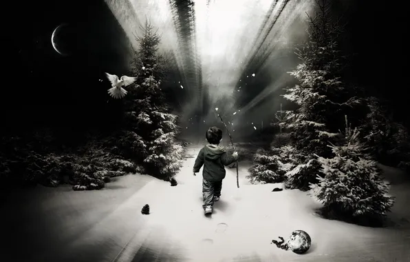 Картинка лес, снег, один, след, мальчик, ребёнок
