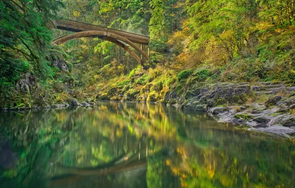 Картинка лес, мост, река, Lewis River, Washington State, Штат Вашингтон, Река Льюис, Мост Моултон-Фолс