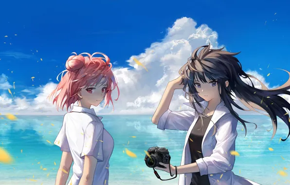 Лето, девушки, океан, фотоаппарат, Oregairu, Розовая Пора Моей Школьной Жизни Сплошной Обман