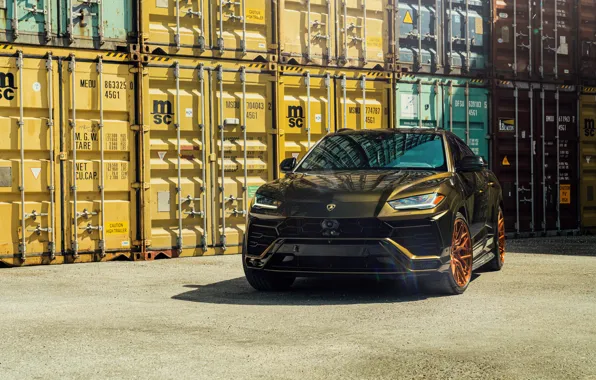 Картинка Lamborghini, Urus, VAG, Контейнер, Бронза