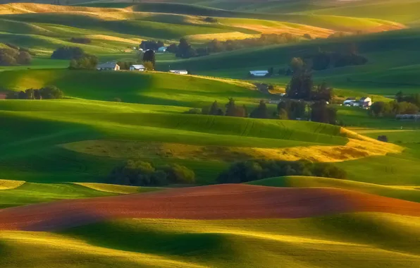 Washington, countryside, Palouse, hills in eastern