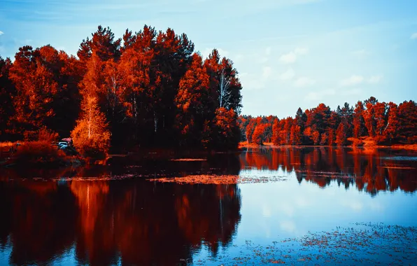 Лето, Первоуральск, Гагарино