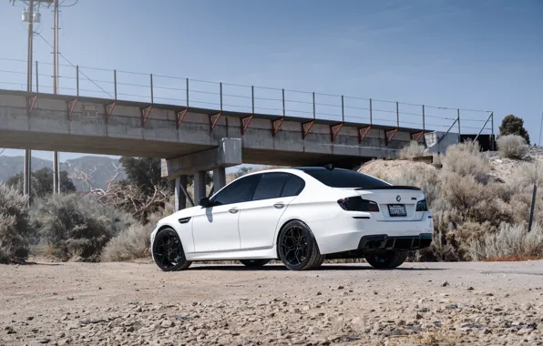 Картинка bmw, white, f10, m5