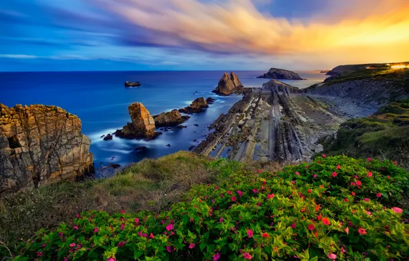 Море, закат, цветы, скалы, побережье, Испания, Spain, Costa Quebrada