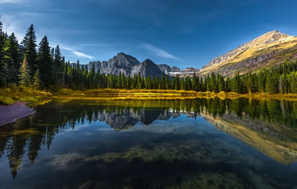 Лес, горы, озеро, отражение, Монтана, Glacier National Park, Скалистые горы, Montana