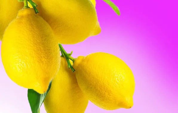 Acid, lines, fruit, vitamin