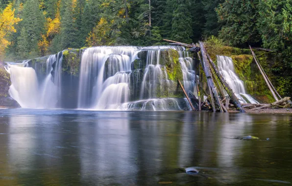 Осень, лес, скалы, водопад, брёвна