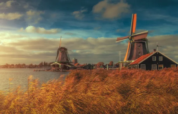 Картинка река, дома, камыш, мельницы, Нидерланды, Netherlands, Zaanse Schans, Зансе-Сханс