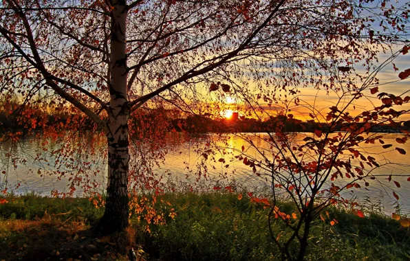 Картинка осень, закат, природа