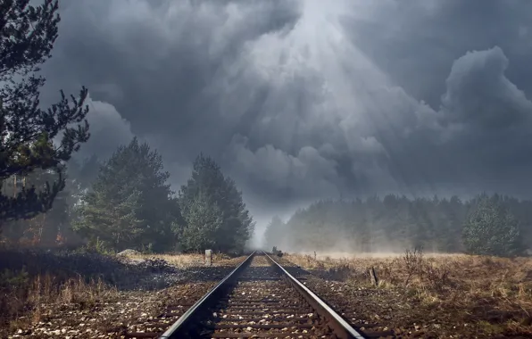 Картинка лес, облака, железная дорога, сосны, forest, лучи света, clouds, railway