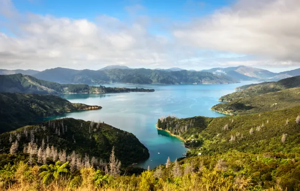 Море, острова, Новая Зеландия, Marlborough