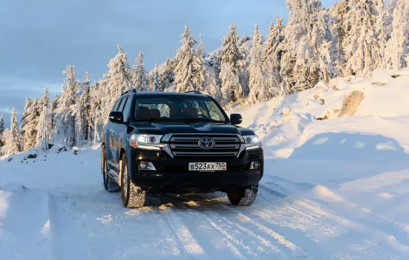 Toyota, Land, 200, Cruiser