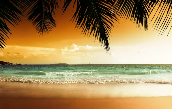Картинка песок, море, пляж, закат, тропики, пальмы, берег, beach