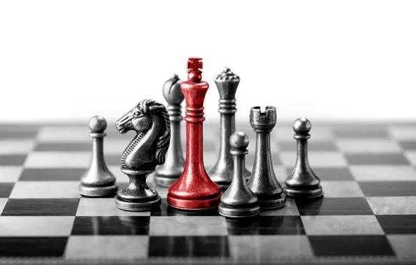 Concept, game, boss, chess, different, board, business, difference