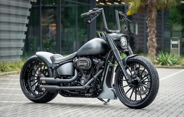 Картинка silver, boy, Tuning, harley-davidson, fat, customized, blast, Thunderbike