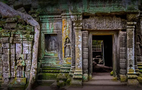Руины, Камбоджа, храм Та Прум, Агкор