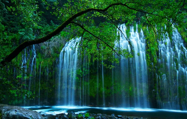 Зелень, деревья, природа, водопад, США, Shasta Retreat, Sacramento River, Mossbrae Falls