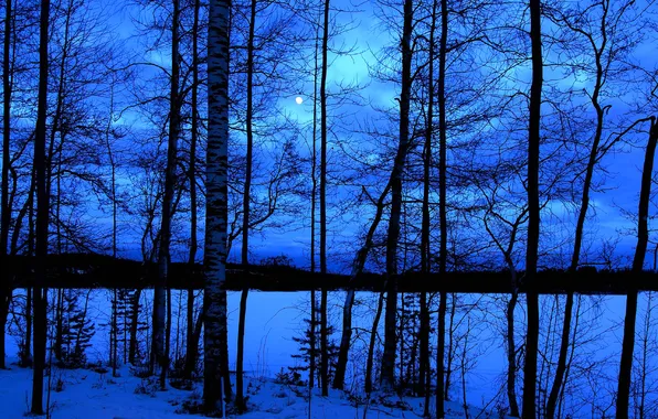 Картинка зима, небо, облака, снег, деревья, ночь