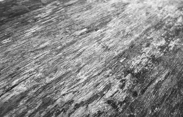 Серый, дерево, текстура, wood, gray