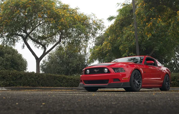 Mustang, Ford, RTR, Parking, 2013