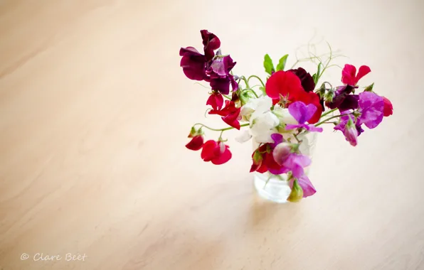 Картинка цветы, букет, горошек, ваза, Clare Beet, душистый