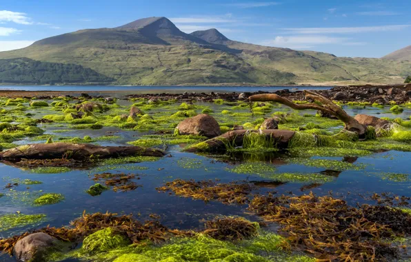 Картинка Killunaig, Scotland, Isle of Mull coastline