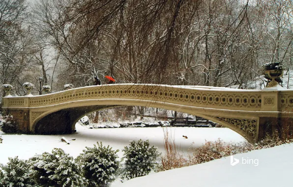 Картинка зима, снег, деревья, люди, мостик, Нью Йорк, кусты, New York